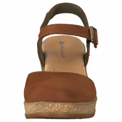 El Naturalista Leaves Wood