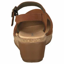 El Naturalista Leaves Wood