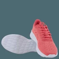 Champion Low Cut Shoe Element Core Ps013