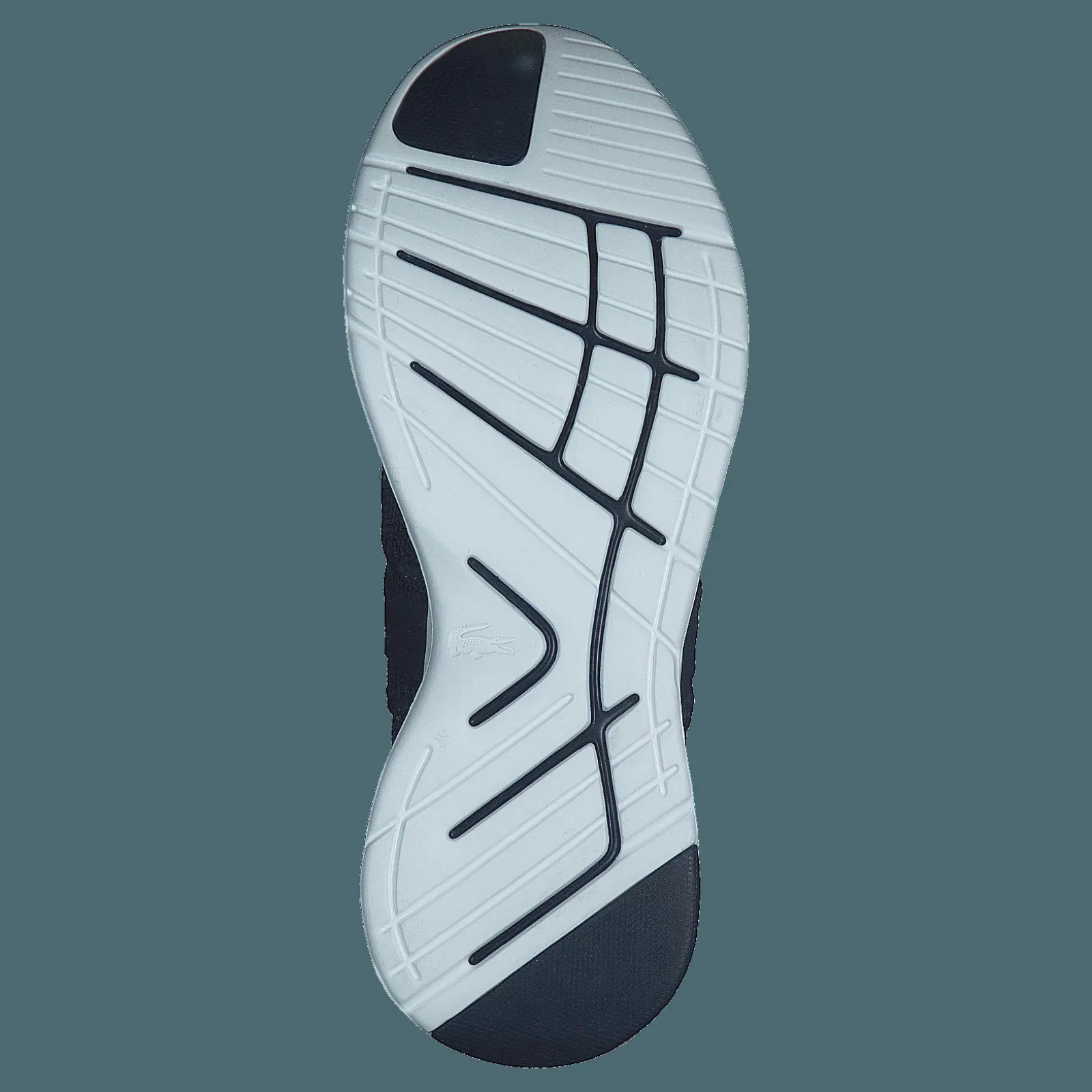 Lacoste Lt Sense 120 1 Sma Nvy/wht