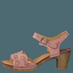 Wildflower Luciana Pink