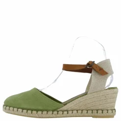 Verbenas Malena Serraje Kelp