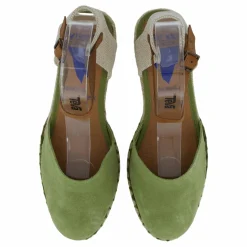 Verbenas Malena Serraje Kelp