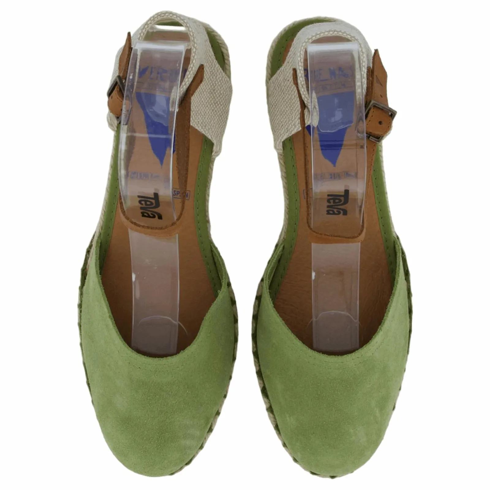 Verbenas Malena Serraje Kelp