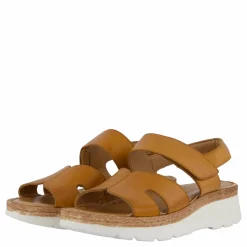 Ten Points Maya 2 Women