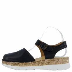 Ten Points Maya Black