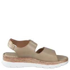 Ten Points Maya Cappuccino