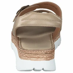 Ten Points Maya Cappuccino