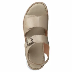 Ten Points Maya Cappuccino