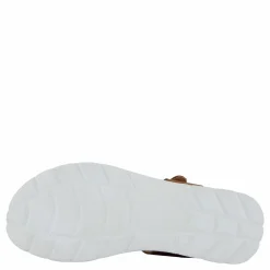 Ten Points Maya Cognac