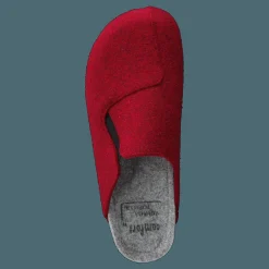 Mohedatoffeln Merkurius Red