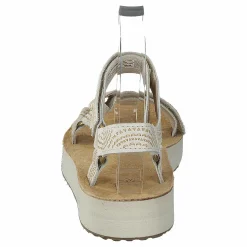 Teva Midform Universal Geometric Birch