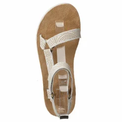 Teva Midform Universal Geometric Birch