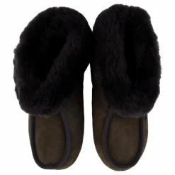 Shepherd Moa Asphalt