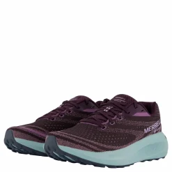 Merrell Morphlite Gtx Plum