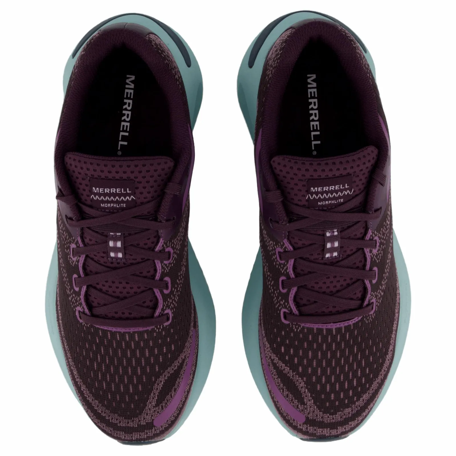 Merrell Morphlite Gtx Plum