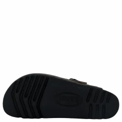 Scholl Iconic Olivier Grey