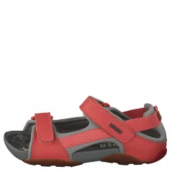 Barn Camper Ous Kids Multi