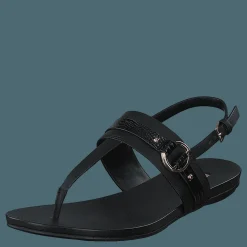 Aldo Pandra Black