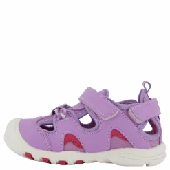 Barn Pax Pepper Purple