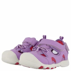 Barn Pax Pepper Purple