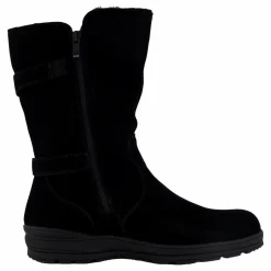 Wildflower Phillis Black