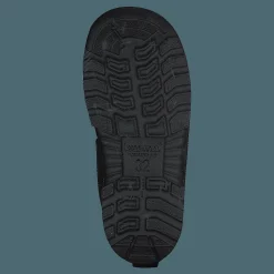 Barn Kuoma Putkivarsi Boysenberry Ghost