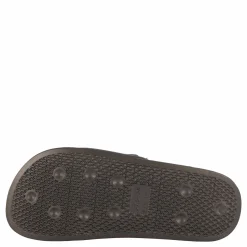 Champion Queens Slide Fallen Rock