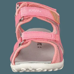 Barn Kavat Rio Tx Strawberry Rose