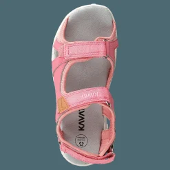 Barn Kavat Rio Tx Strawberry Rose