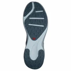 Salomon Sense Feel W India Ink/wht/flint