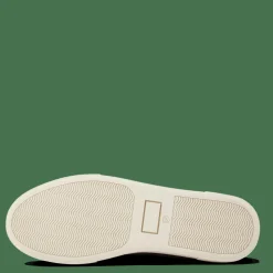 Sneaky Steve Shame 65  Brush