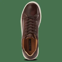 Sneaky Steve Shame 65  Brush