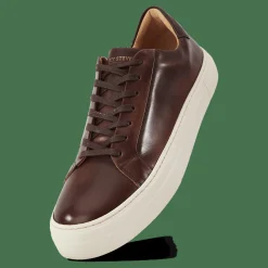 Sneaky Steve Shame 65  Brush