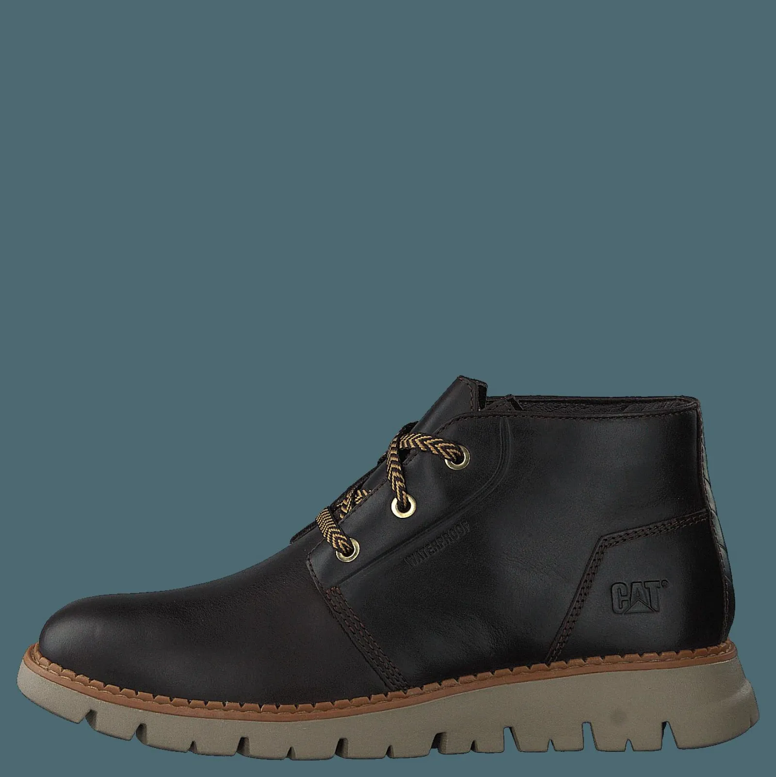 CAT Sidcup Wp Coffee Bean