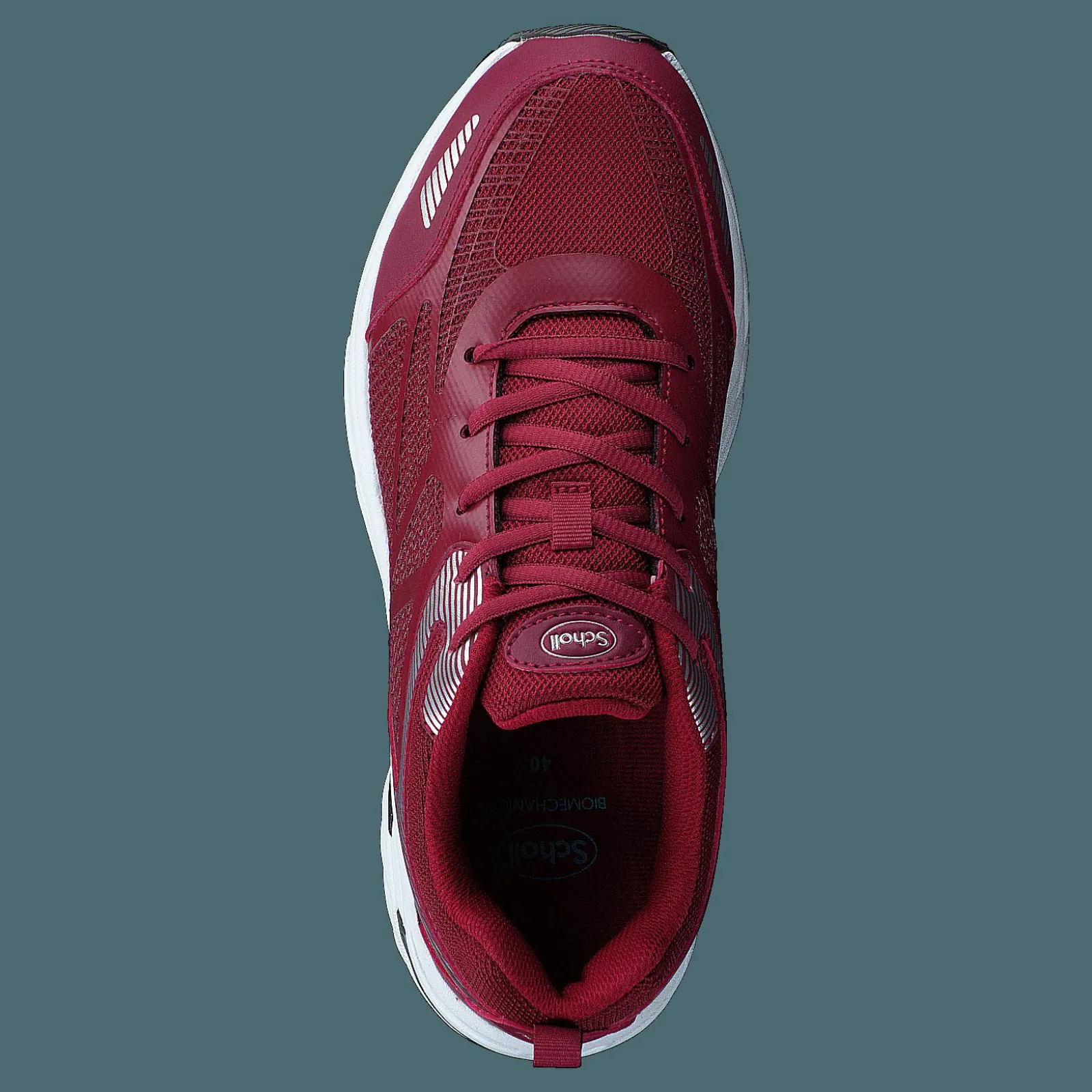 Scholl Sprinter Net Bordeaux