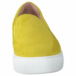 Dasia Starlily Yellow