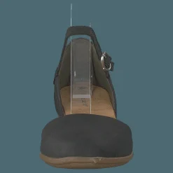 El Naturalista Stella Black