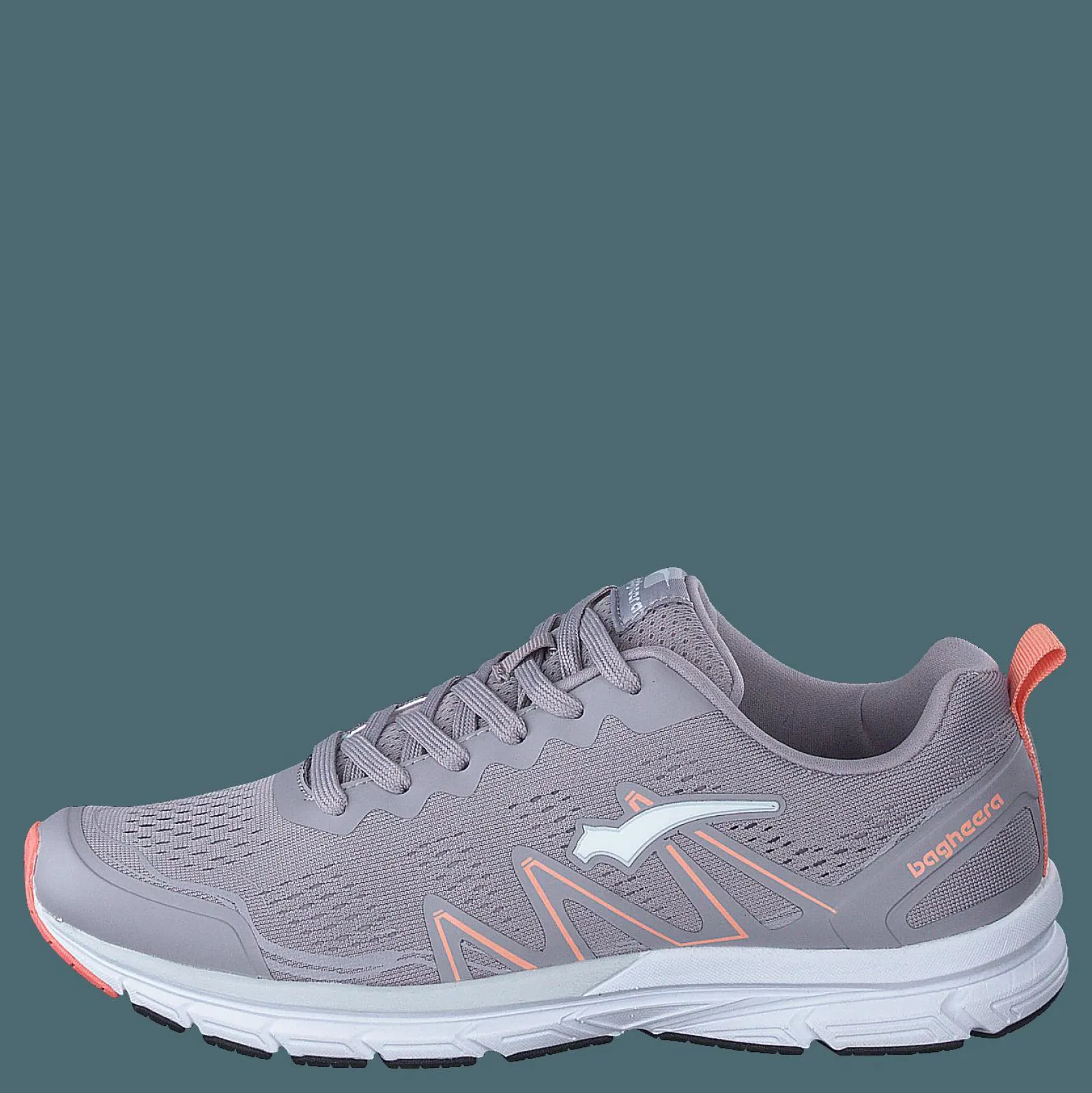 Bagheera Storm Lavender/pink