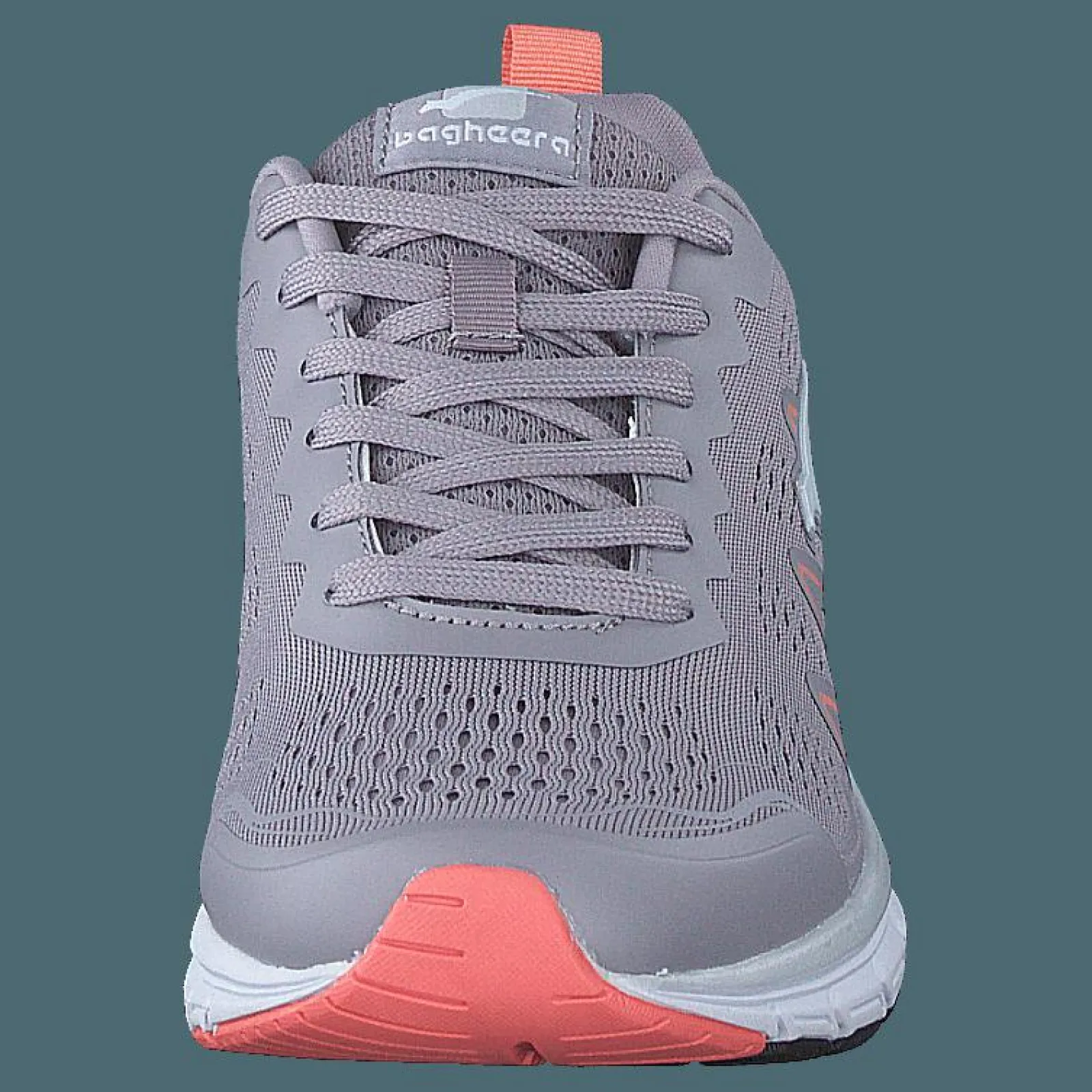 Bagheera Storm Lavender/pink