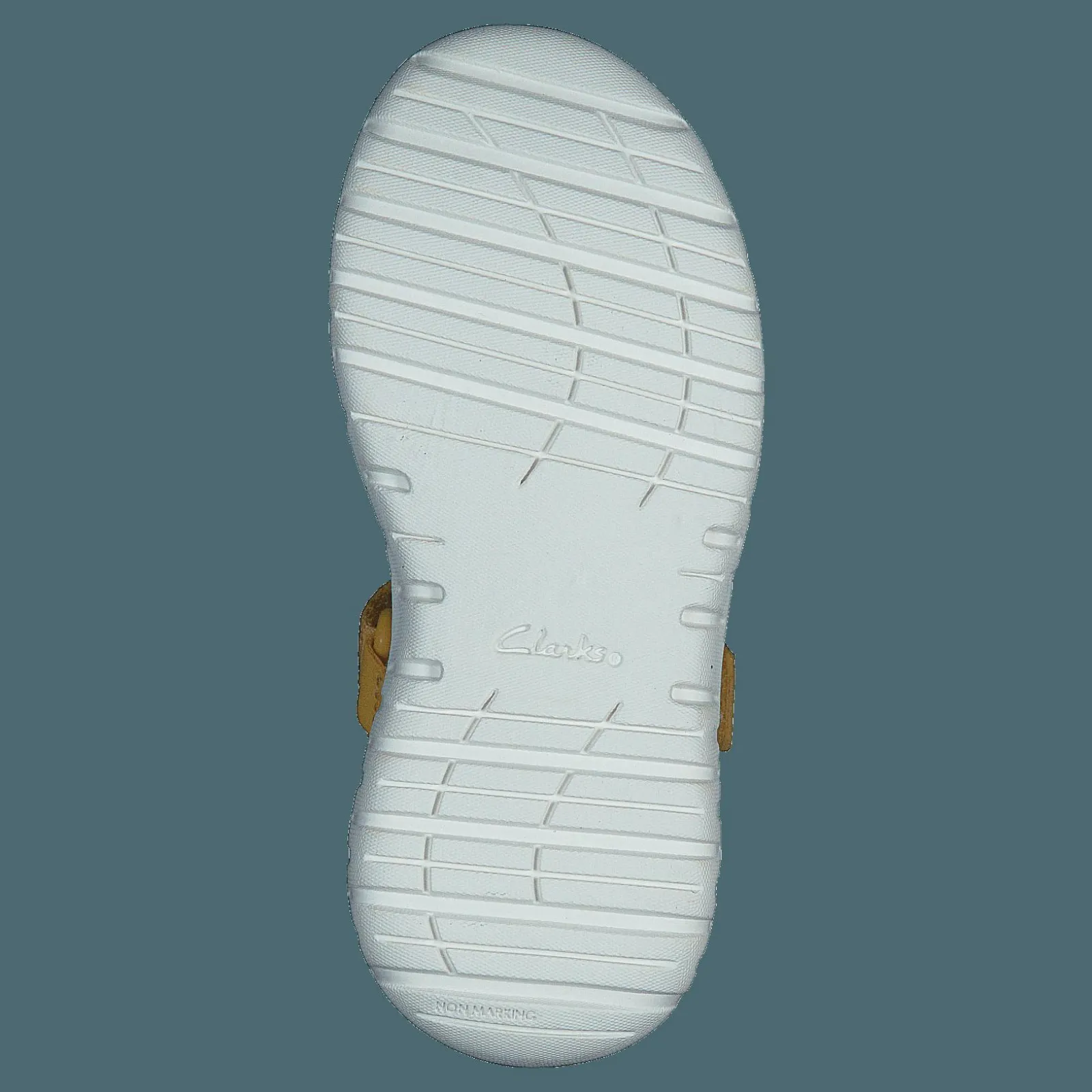 Barn Clarks Surfing Sea T Yellow Interest