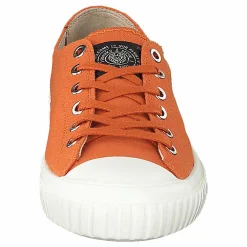 Sneaky Steve Swing Low Burned