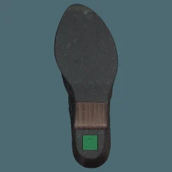 El Naturalista Sylvan Black