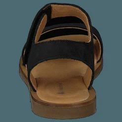 El Naturalista Tulip Ibón Black