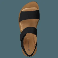 El Naturalista Tulip Ibón Black