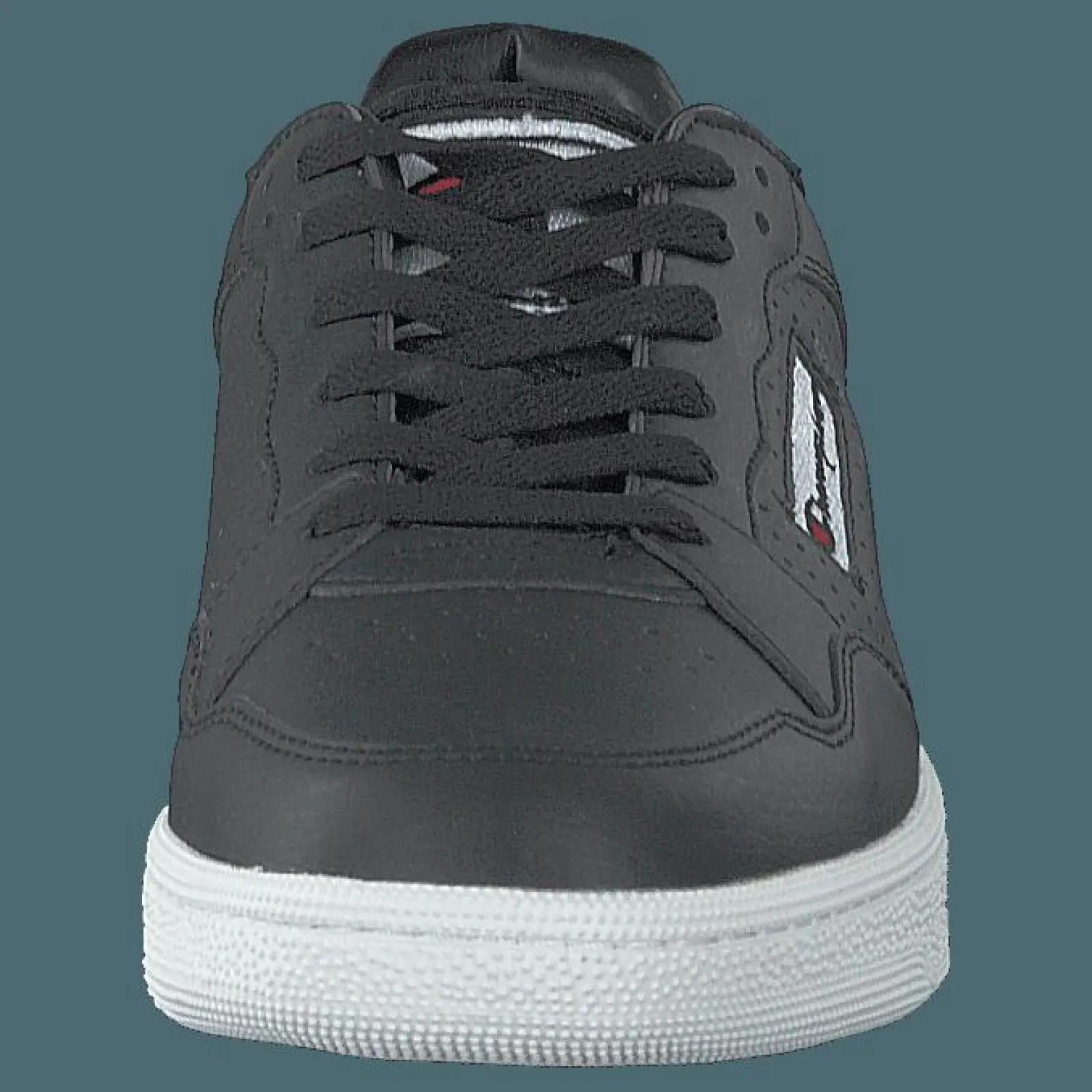 Champion W Cleveland Black Beauty