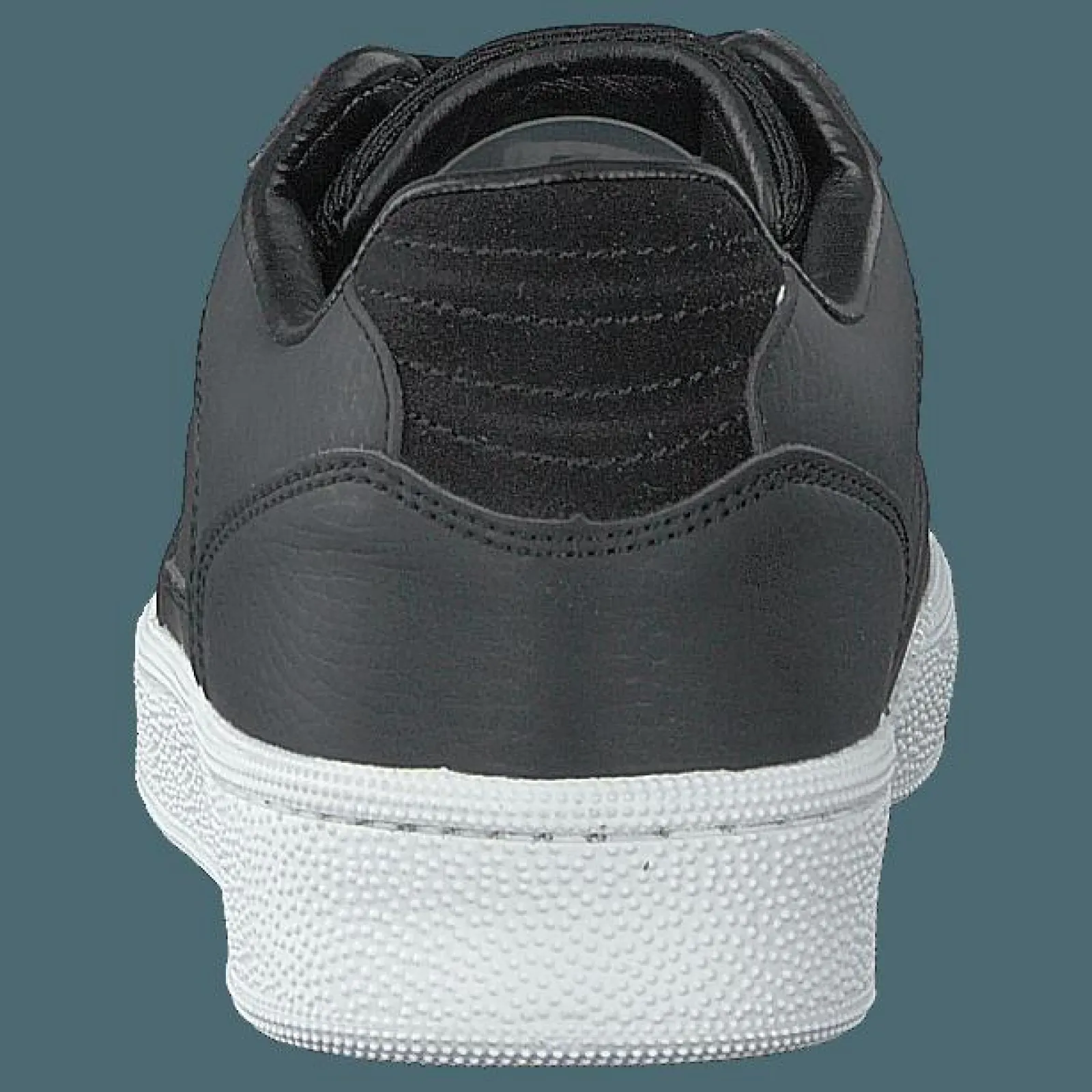 Champion W Cleveland Black Beauty