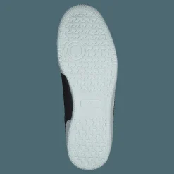 Champion W Cleveland Black Beauty