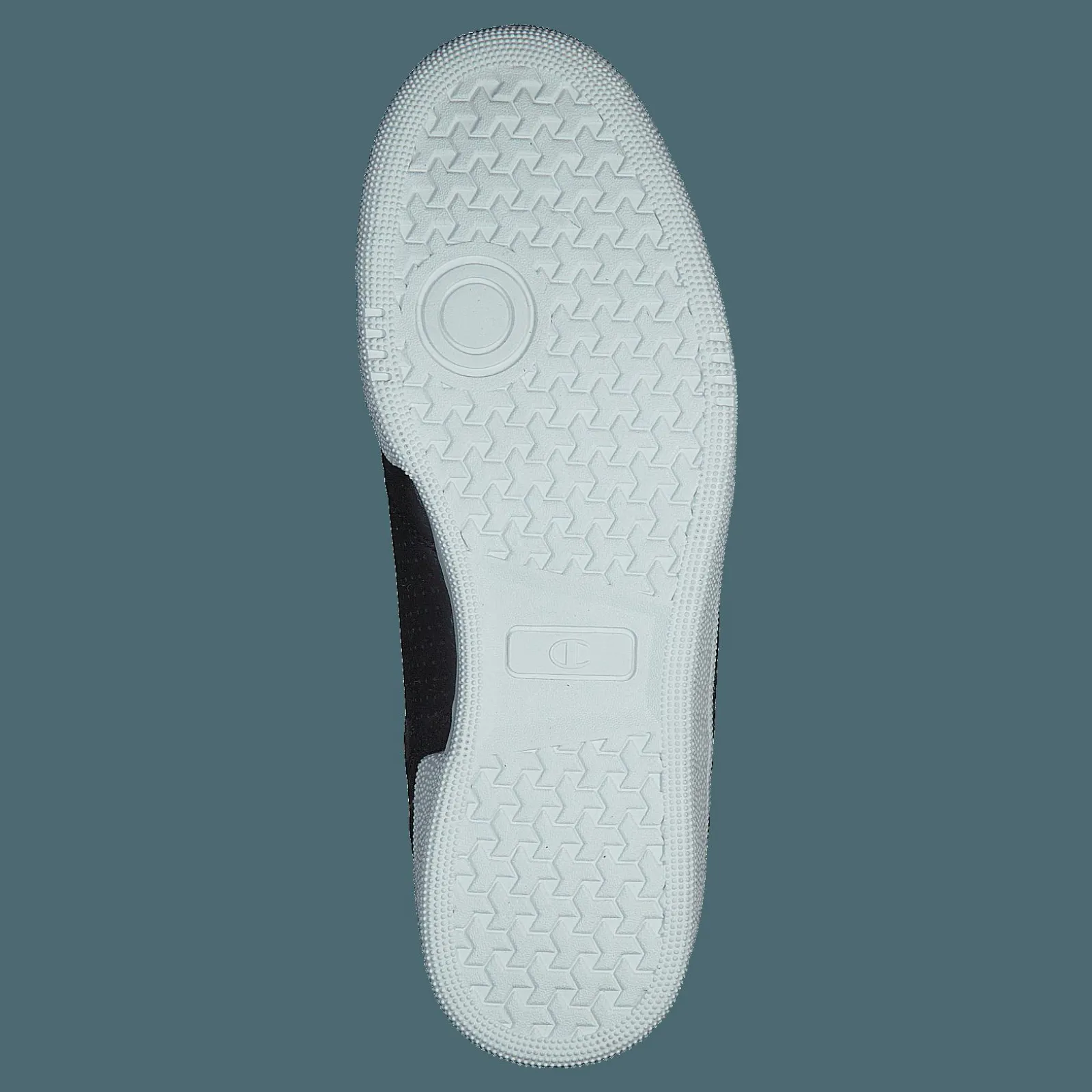 Champion W Cleveland Black Beauty