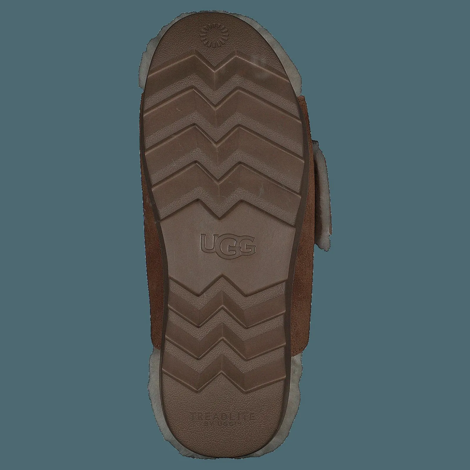 UGG W Outslide Buckle Chestnut Suede
